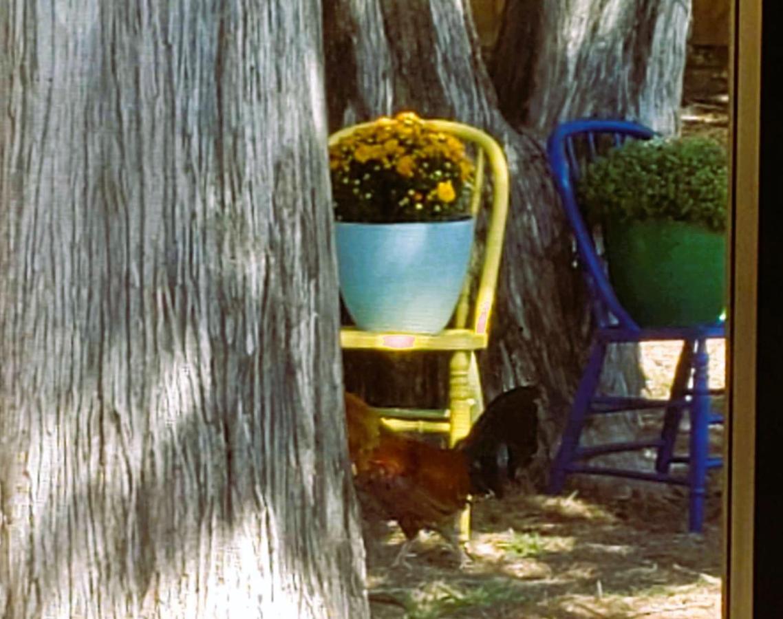 Midtown Southern Charm Tyler Luaran gambar